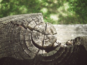 groundandcenter_edit