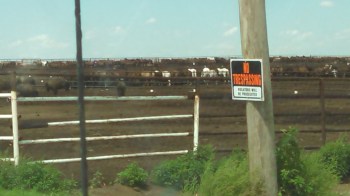 IMG_20140823_132107_665