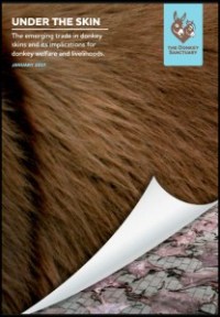 Click Image to Download Report