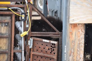 2017 03 16 01 002 YNPtrapBFCseay2017