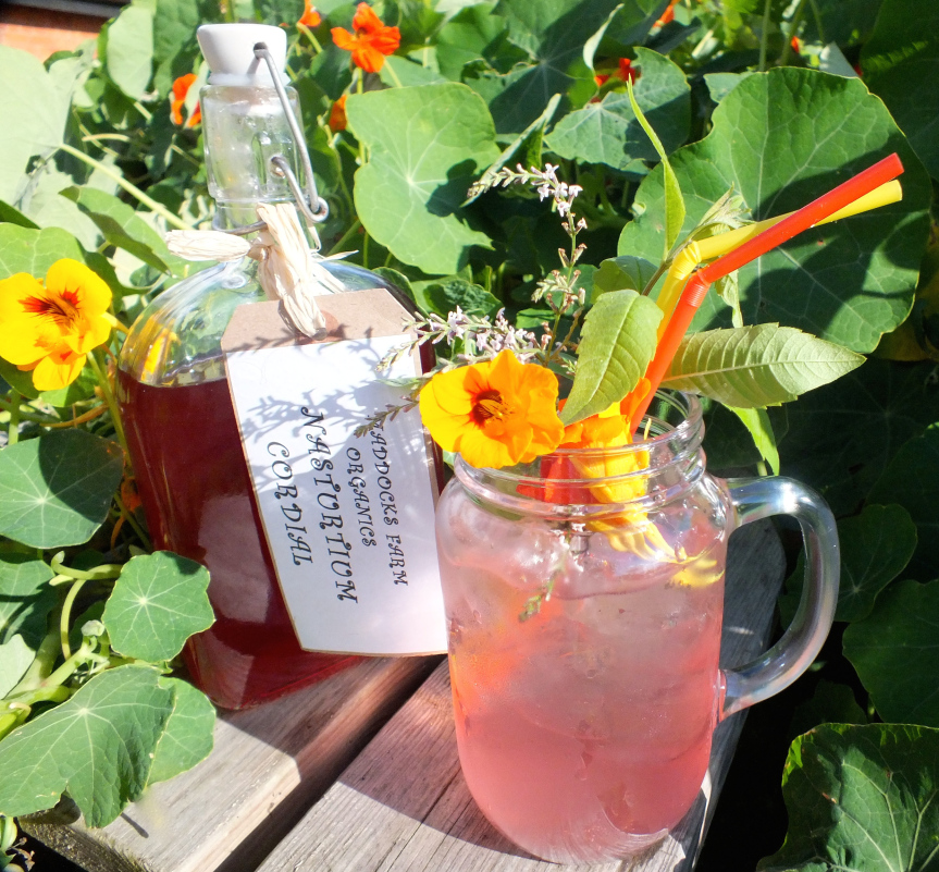 nasturtium cordial