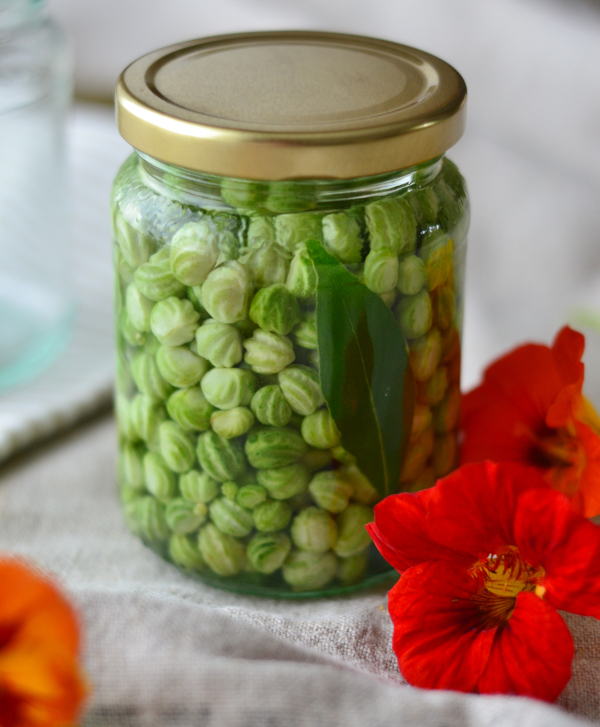 Pickled-nasturtium-seeds-recipe-Poor-Mans-Capers-Decorators-Notebook-blog-5