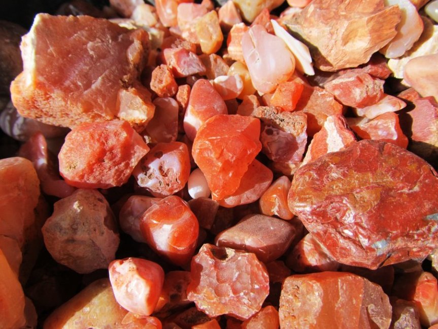 Featured Image -- 3778