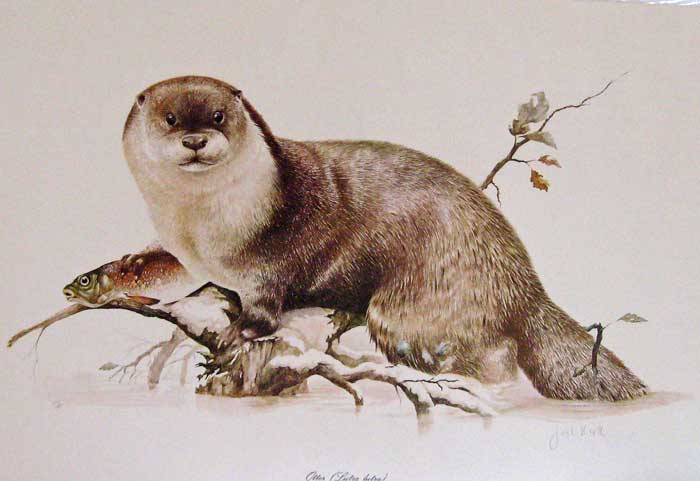 TECHNIQUES FOR WORKING WITH POWER&nbsp;ANIMALS