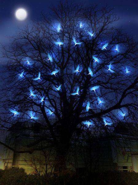 19731915_966835963458057_9003982819454318311_n (1)