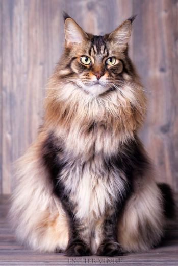 Featured Image -- 3828