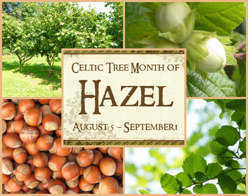 Featured Image -- 4362