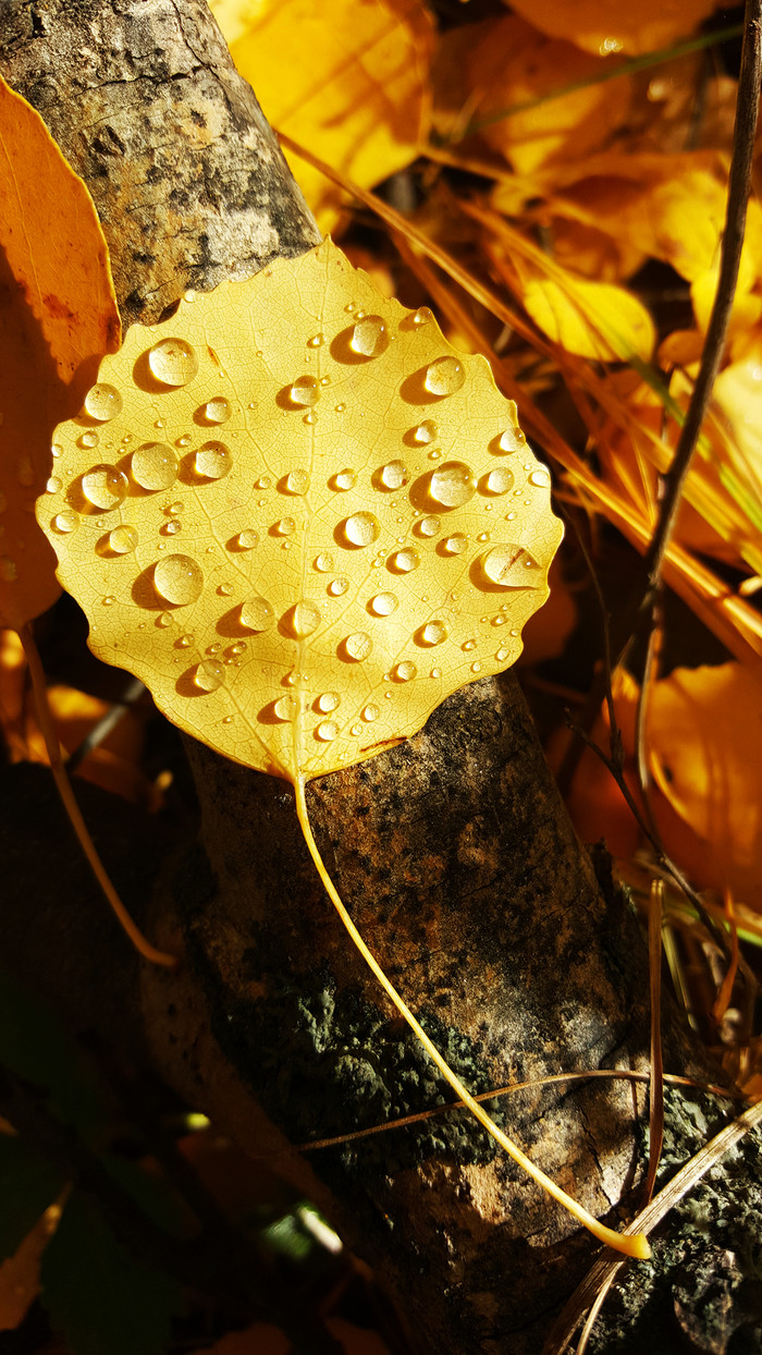 As Autumn Approaches…