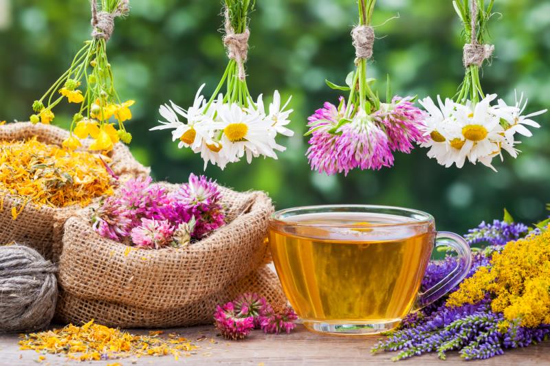 Fall Allergies ~ An Herbal&nbsp;Approach
