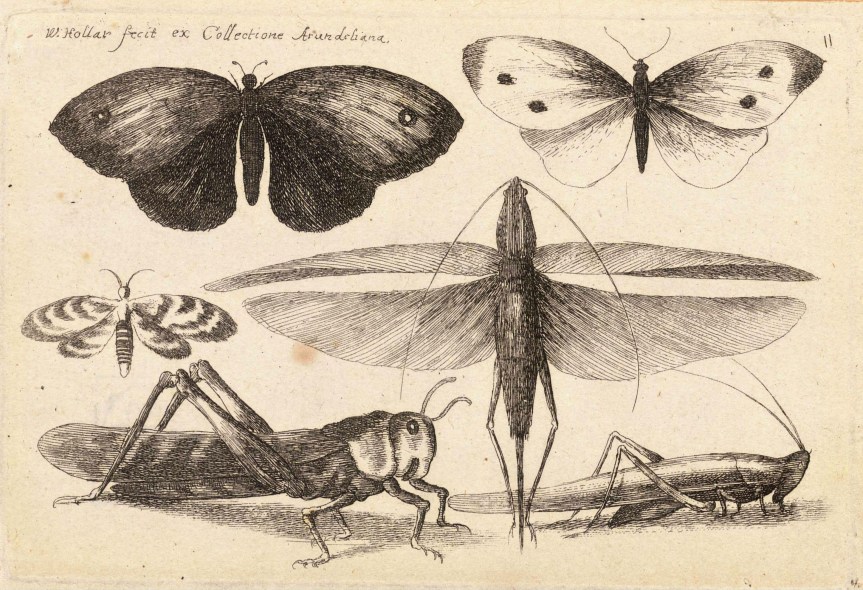 Featured Image -- 4716