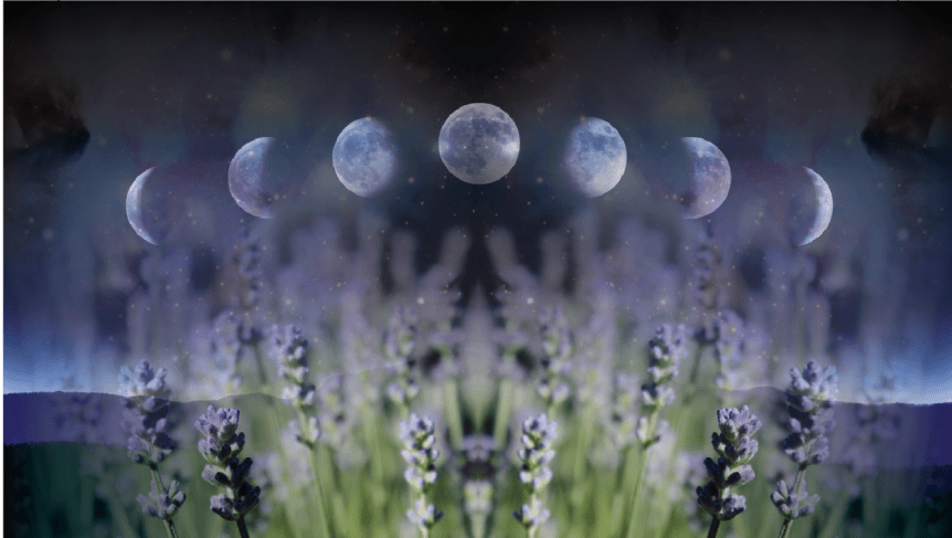 Featured Image -- 4833