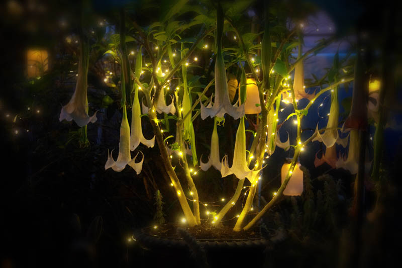 Featured Image -- 4815