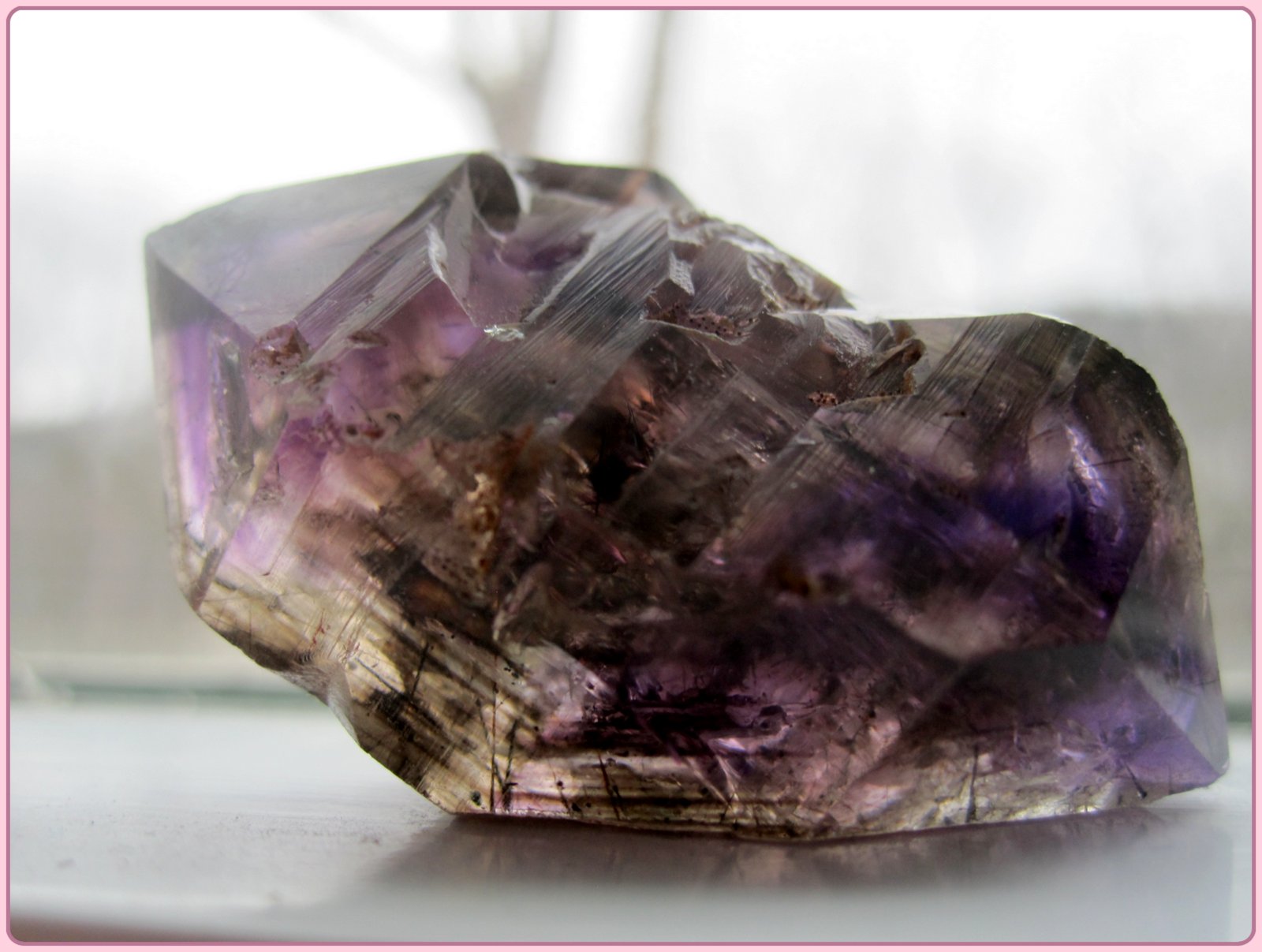 Featured Image -- 4921