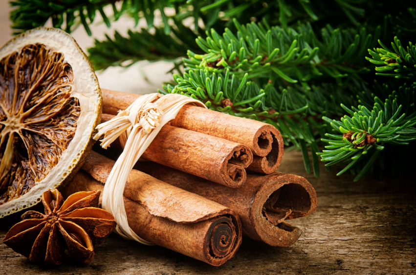 Our Holiday Favorite Spice:&nbsp;Cinnamon