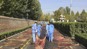 fd894cda-b220-11e6-b17d-d6b2ebc6f34a_660x385