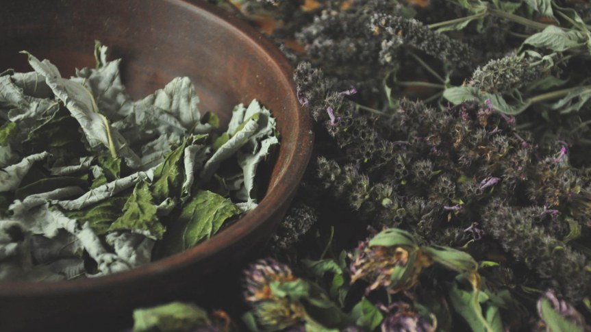 Herb Lore:  (Herbalism)