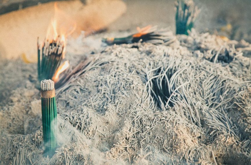 Cultivate Deep Respect for Mother&nbsp;Earth