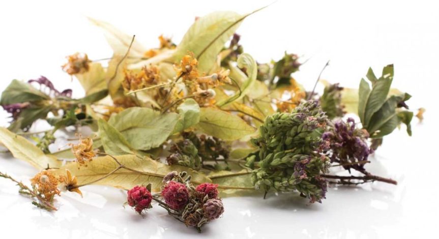 The Best Teas for&nbsp;IBS.