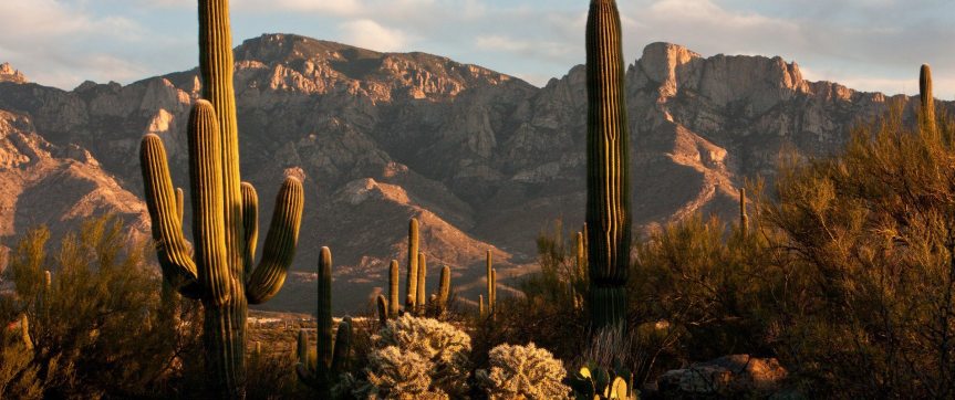 Tucson Gem and Mineral Show&nbsp;2018