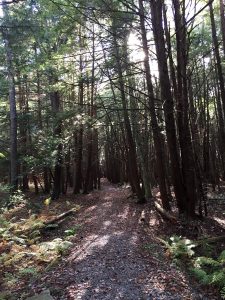 The quiet that nature provides...