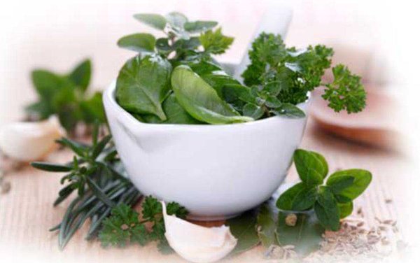 Boost Your Juice With&nbsp;Herbs