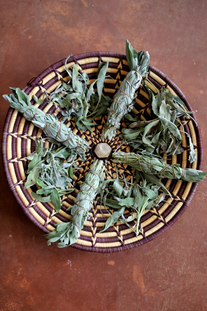Plant Profile: White Sage {Salvia&nbsp;apiana}