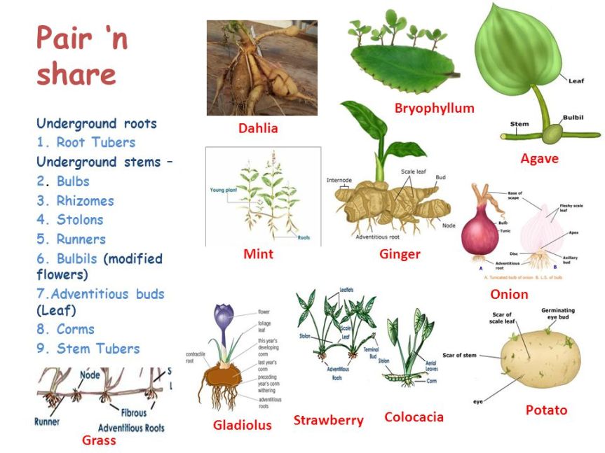 Know Your Underground&nbsp;Roots