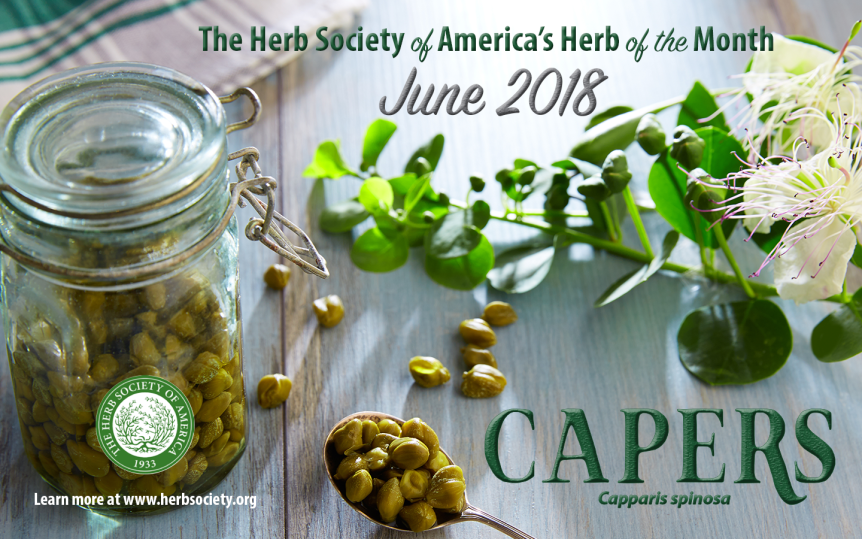 June Herb of the Month:&nbsp;Capers