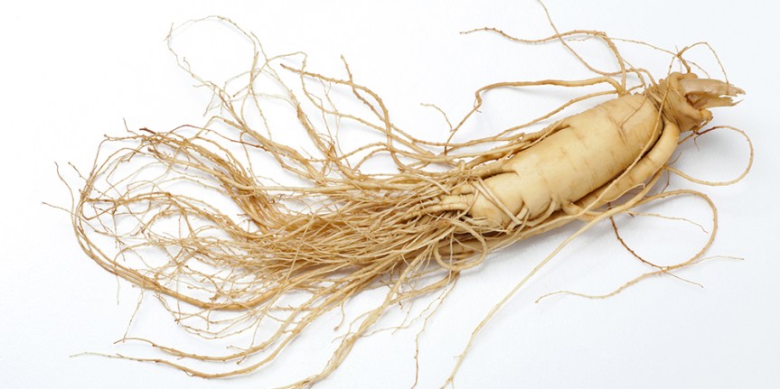 What Is Eleuthero&nbsp;Root?