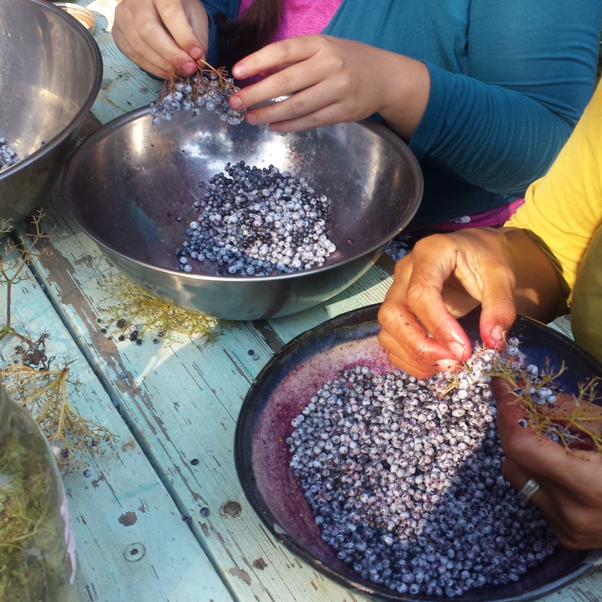 Self-care Sisterhood: Folk Medicine Making for Women of&nbsp;Color