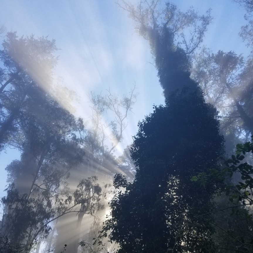 Ancestral Remembrance: An Introductory&nbsp;Weekend