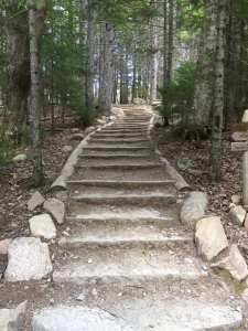 Leading you in deeper!