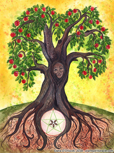 Spirit of the Apple - from the Plant Spirit Oracle (www.plantspiritoracle.com)