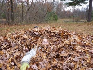 Leaves - nutrients AND enjoyment!