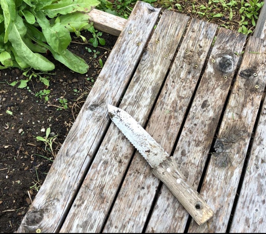 Herb Gardener Gift-Giving Idea:&nbsp;Hori-Hori