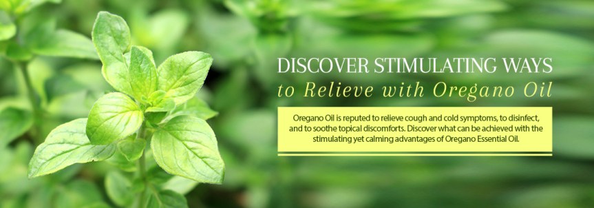 Oregano Oil Uses & Benefits for Your Winter&nbsp;Health