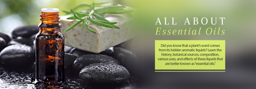 The Essence of Your Essential&nbsp;Oils