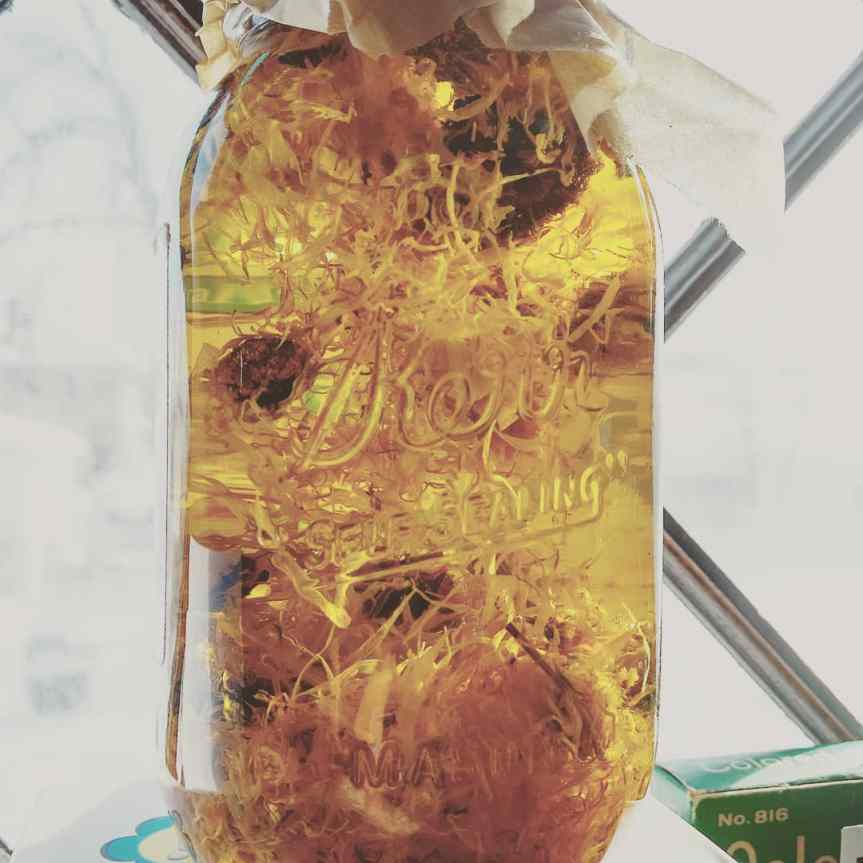 The Skin You’re In (#herbs, #IBS & #skincare)….