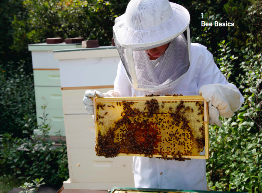 Do Beekeeping: Book penned by teen encourages people and communities to take up the&nbsp;craft