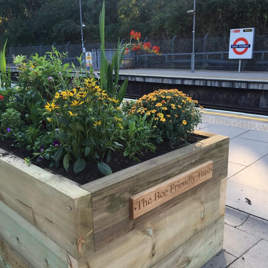 The Bee Friendly Trust transforming station platforms into habitats for honeybees to&nbsp;thrive