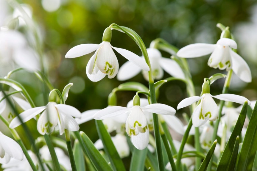 The Energies of&nbsp;March