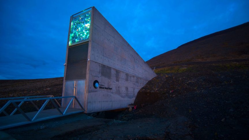 Svalbard Global Seed Vault: The “Noah’s Ark of Plant Diversity” protecting the world’s seed&nbsp;resources