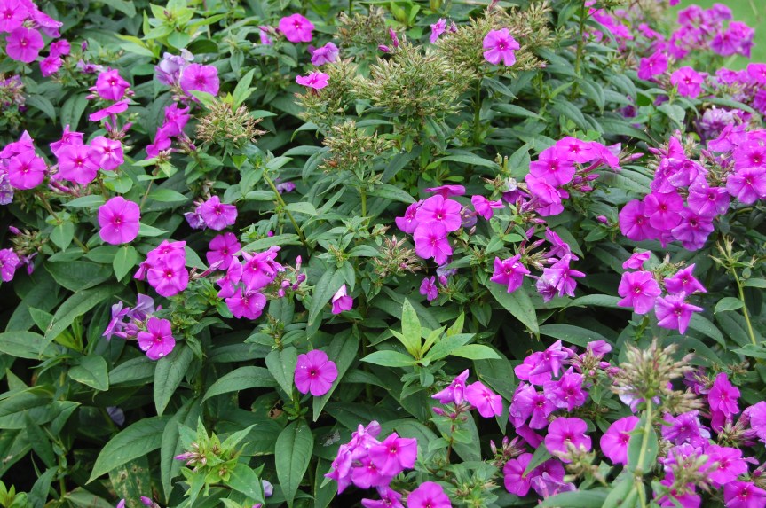 The Energies of&nbsp;April