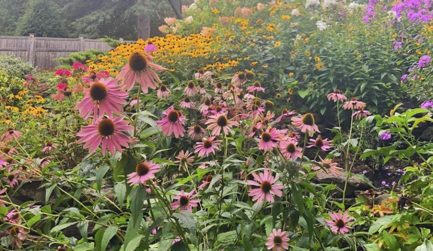 Summer Wellbeing: Summer, The Season of&nbsp;Becoming