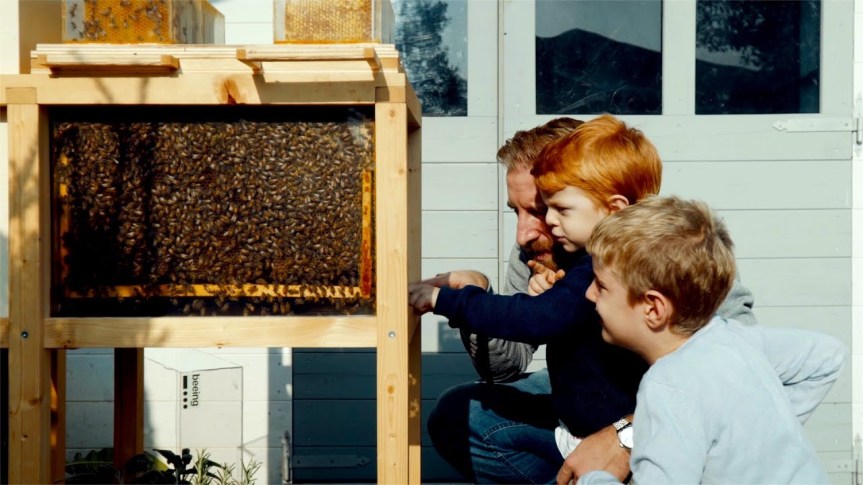 b-box: Urban-friendly hive aims to encourage the bee population and a colony of home&nbsp;beekeepers
