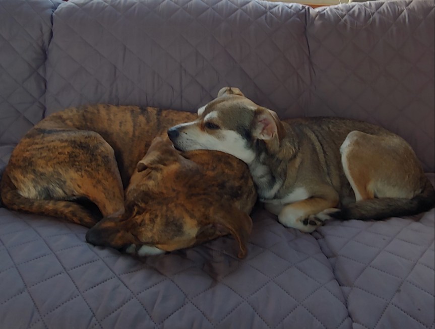 20180829_083939_HDR(1)