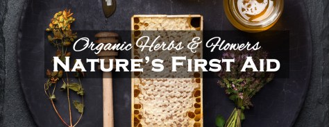 Medicine Chest: Herbal First Aid&nbsp;Kit