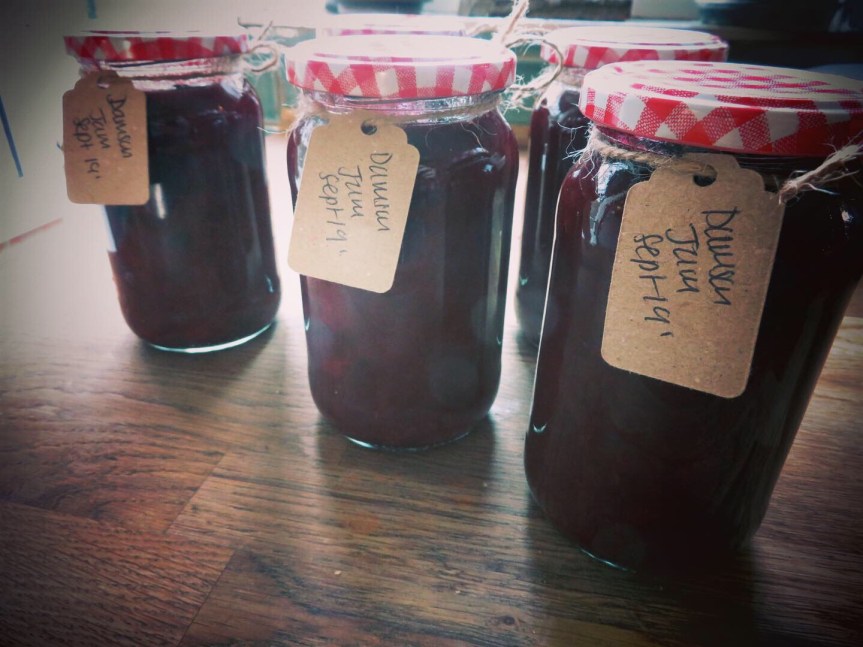 Damson Jam