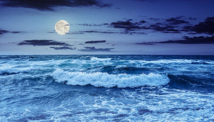 Moving Forward With Clarity; Full Moon in&nbsp;Pisces