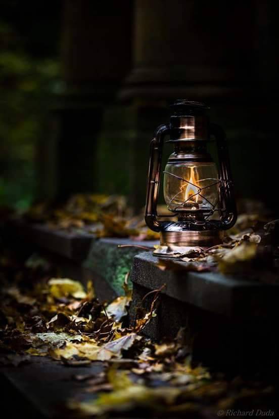 The Witch Reborn in Autumn: Spiritual Death and the Dance of Bones | Spirits Dance&nbsp;Bones